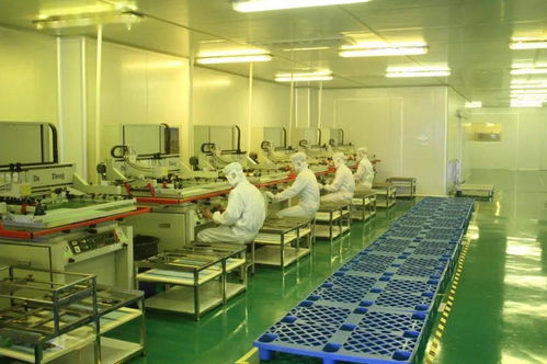 中共湛江市委十一屆十次全會工作報告要點 深化人力資源服務，規范職業中介活動，賦能高質量發展